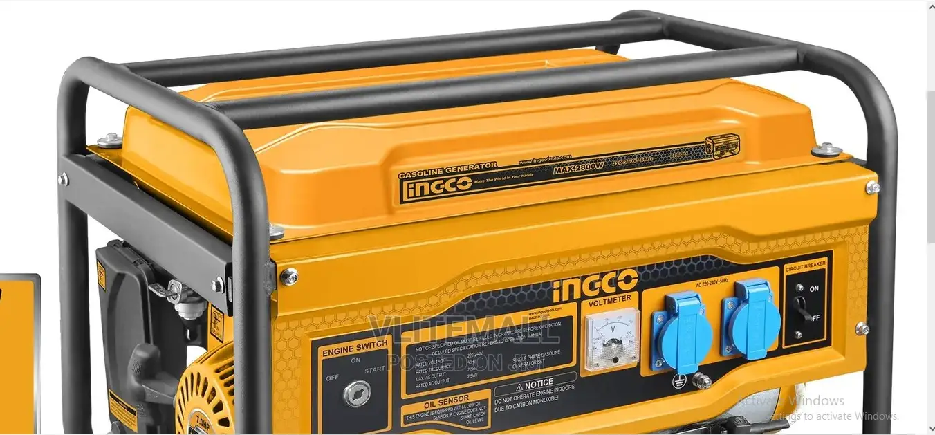 GE30005-1 (Gasoline Generator)