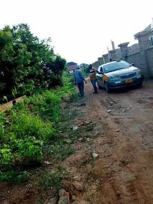 Borehole Drilling