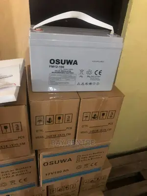12v 100ah Osuwa Battery