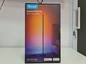 Govee Rgbic Floor Lamp Basic