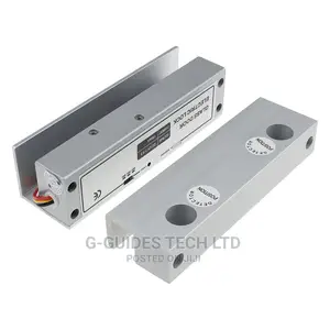 Fully Frameless Glass Door Electric Bolt Door Lock