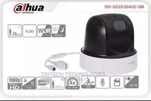 Dahua 2mp (1080P) IP PTZ 4X IP Camera Sd29204ue-Gn