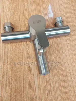 Stainless Shower Mixer 2 in 1