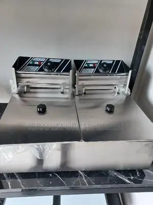 Fryer Electric Two in One