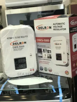 Delron Wall Mounted DWS-5000 Automatic Voltage Stabilizer