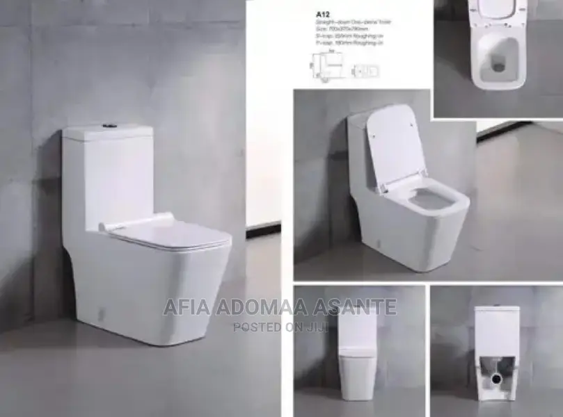 High Quality and Stylish Water Closet