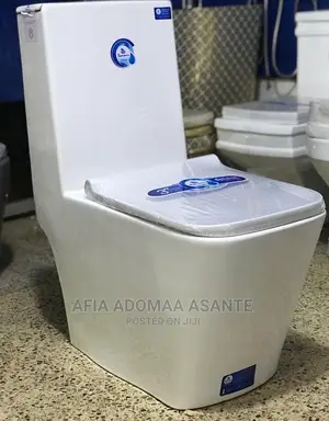High Quality and Stylish Water Closet