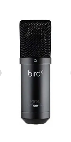 USB Mic for Studio and Live Streaming /Bird Um1