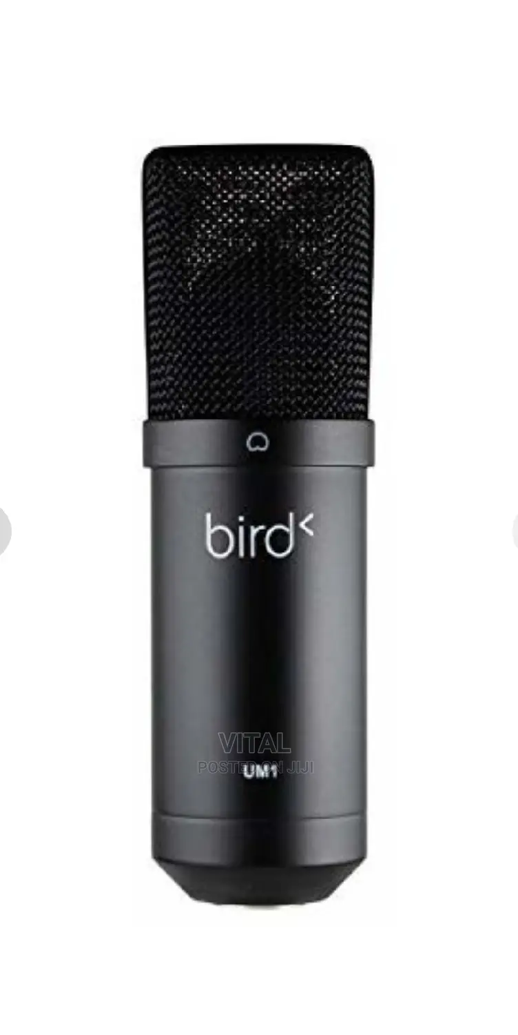 USB Mic for Studio and Live Streaming /Bird Um1