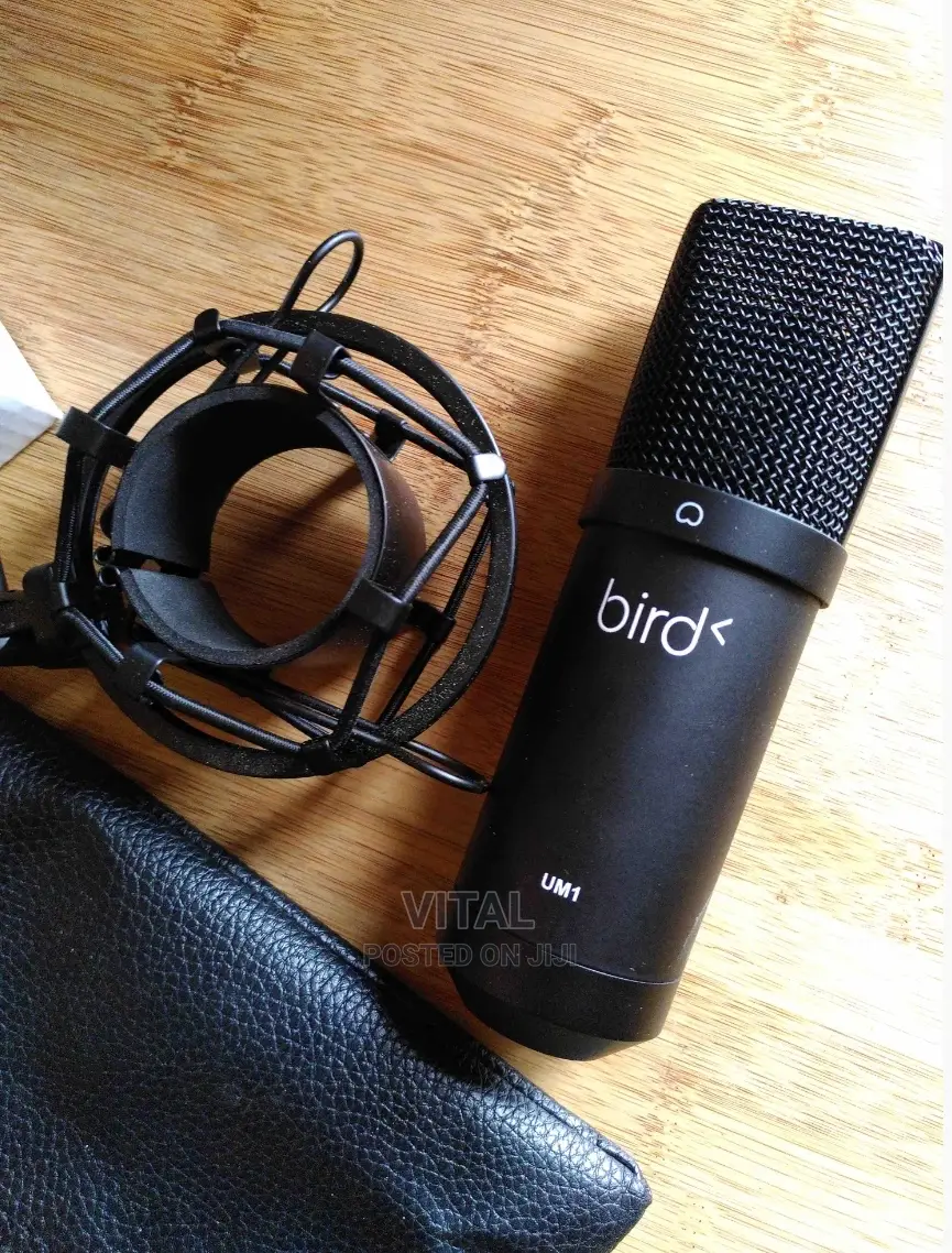 USB Mic for Studio and Live Streaming /Bird Um1