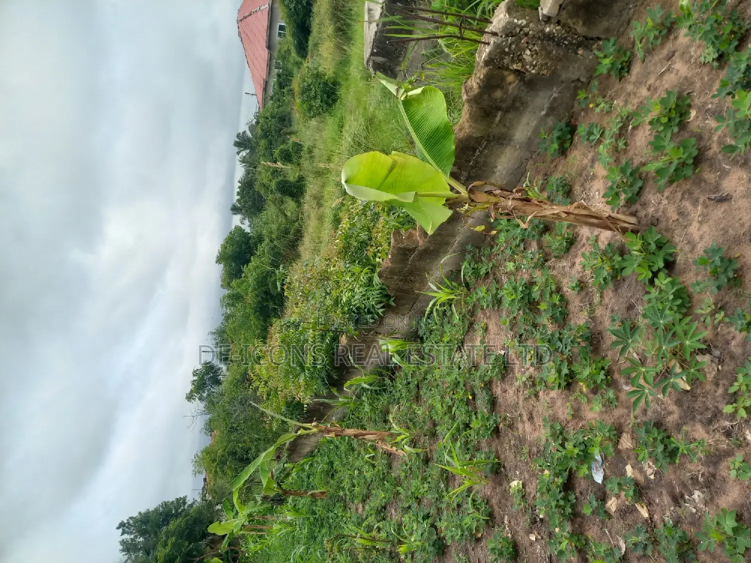 2 Plots of Land at Fijai in Kasoa for Sale