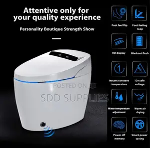 Luxury Remote Control Intelligent Smart Electric WC Toilet