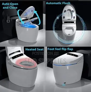 Luxury Remote Control Intelligent Smart Electric WC Toilet