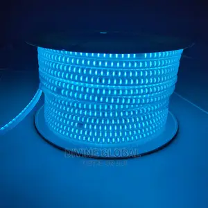 Blue LED SMD Strip Rope Lights 50 Meters