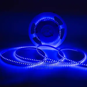 Blue LED SMD Strip Rope Lights 50 Meters