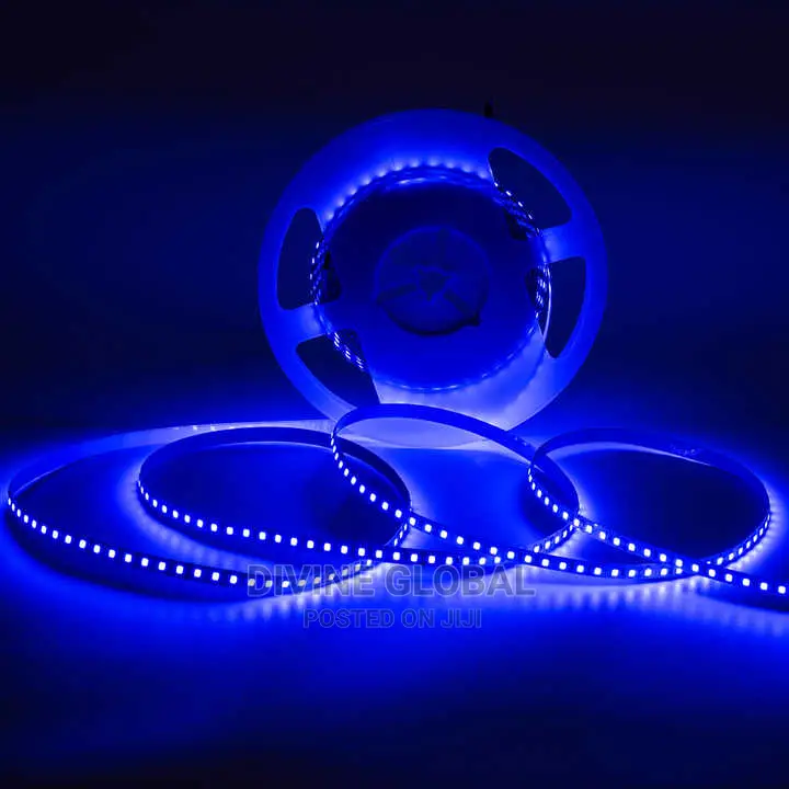 Blue LED SMD Strip Rope Lights 50 Meters