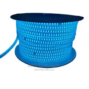 Blue LED SMD Strip Rope Lights 50 Meters