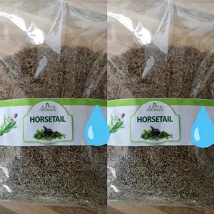 Horsetail Herbs