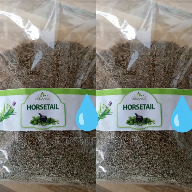 Horsetail Herbs