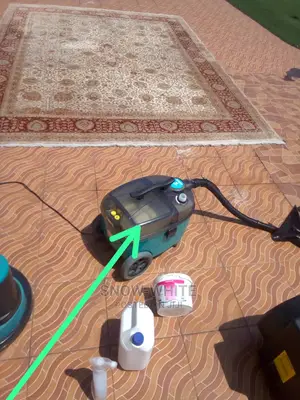 Professional Cleaning Services