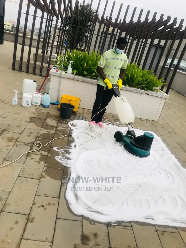 Professional Cleaning Services