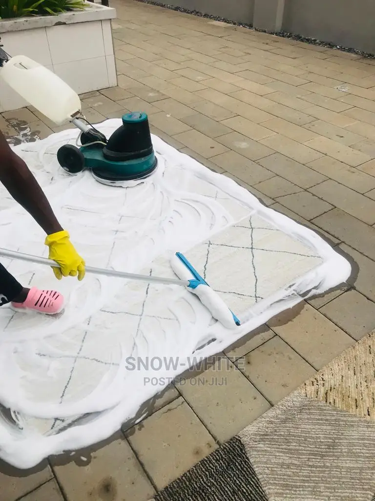Professional Cleaning Services