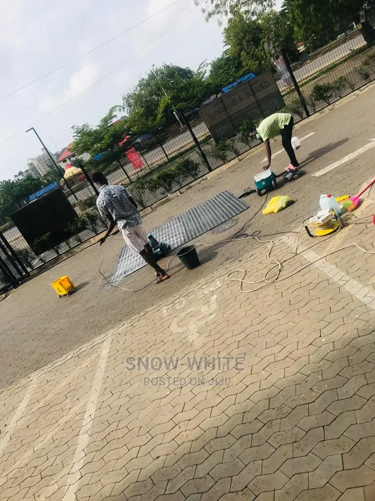 Professional Cleaning Services