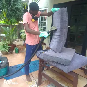 Professional Cleaning Services