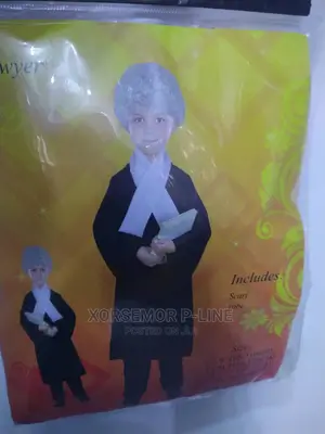 Law Court Lawyer