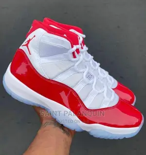 Air Jordan 11