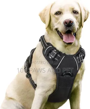 Escape Proof Dog Harness,Walking Hiking Training, L, Blue