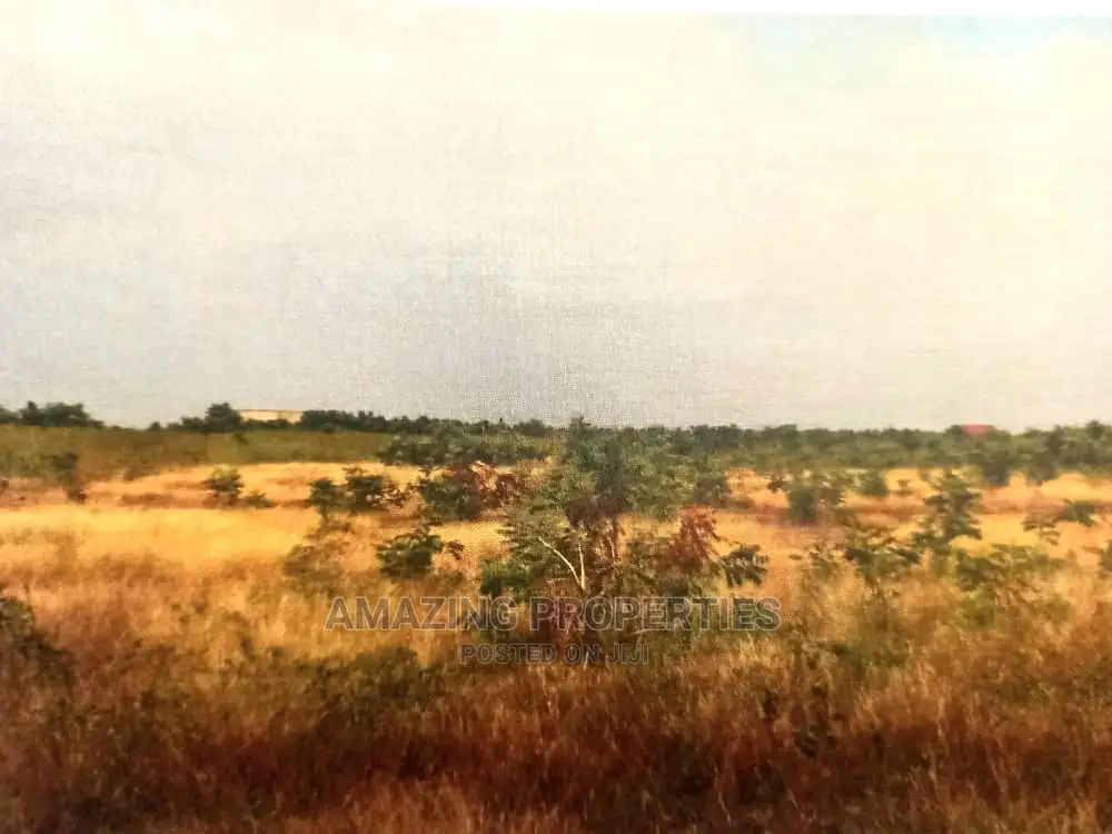 16 Acres of Land at Borteyman