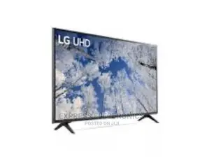 65UQ81003 UHD Smart LG Tv a New Slim Screen