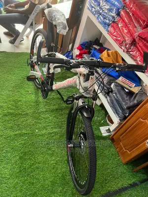 Bicycle (Kids/Adult)