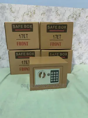 Safe Electronic Mini Safe