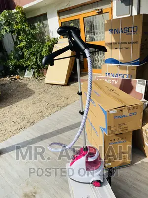 Purchase Original Zip Star Standing Garment Steamer