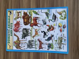 Original Kids Learning Material Knowing Animals Available