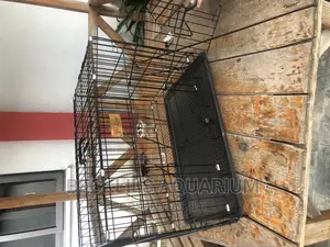 24 Inches Quality Dog Cages Available in Stock