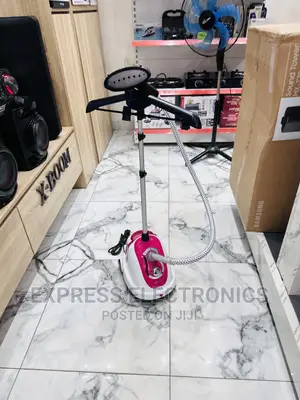 Foreign Standard on Garment Steamer All Star