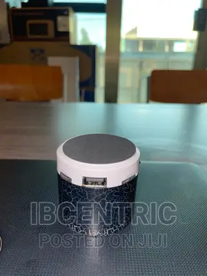 Mini Speaker