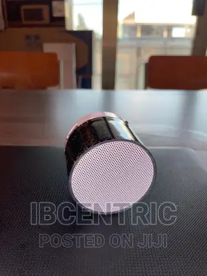 Mini Speaker