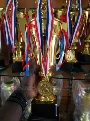 Original Trophy At Cool Price