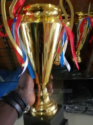 Original Trophy At Cool Price