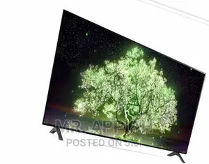 Brand  New LG 55 Inch OLED55A1PVA OLED Smart Tv