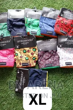 Plus Size Boxers 12pcs for 420gh