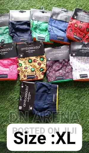 Plus Size Boxers 12pcs for 420gh