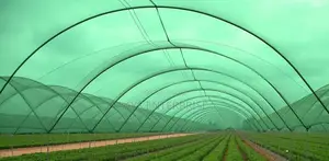 Shade Net (2x50 Meters and 2x100 Meters/ 50%, 60% and 80%)