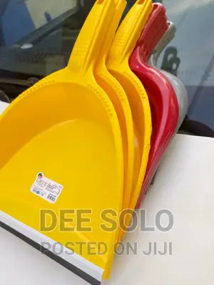 Dust Pan and Collector
