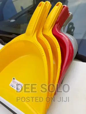 Dust Pan and Collector