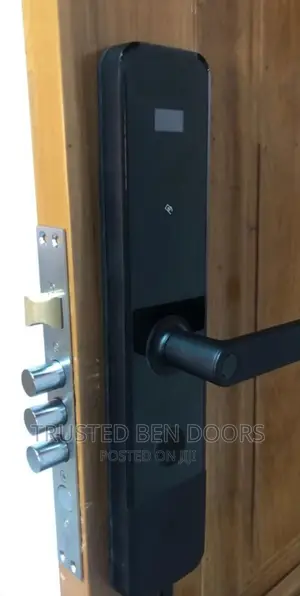 Turkish Paladin Smart Biometric Locks for All Doors